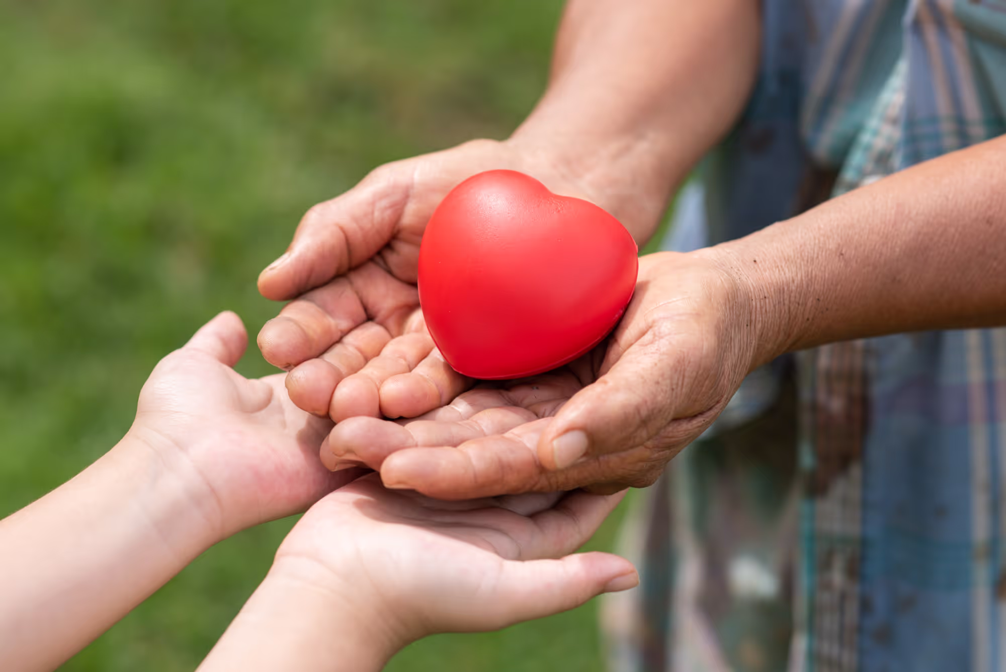 Giving your heart to somebody who needs it